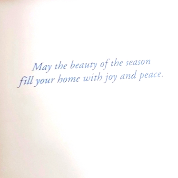 20 Moose Christmas Cards with box - Picture 3 of 11